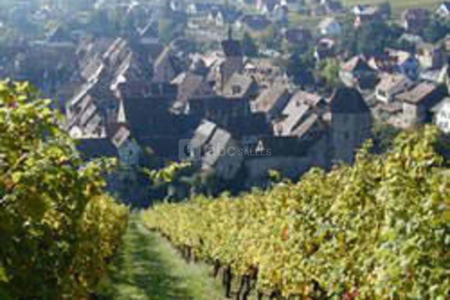 Caveau