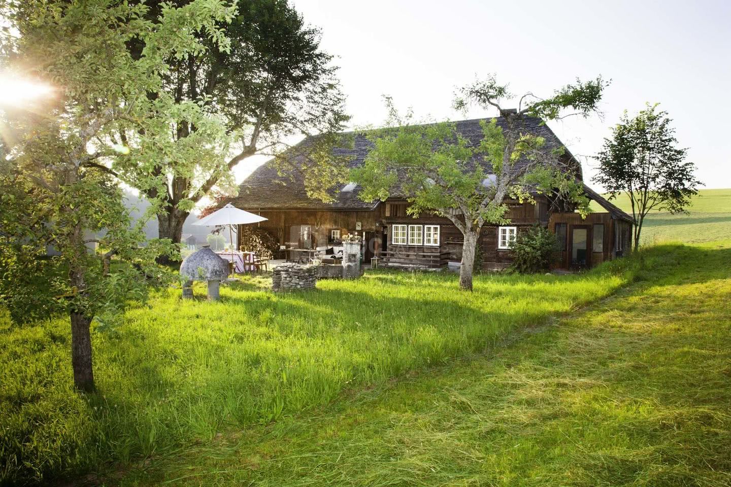 Marti's Farm