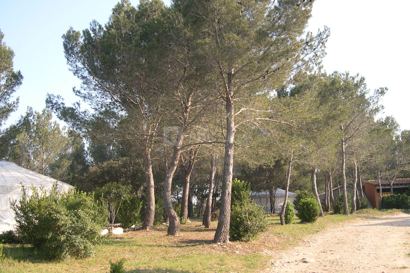 Les Pierrafeu