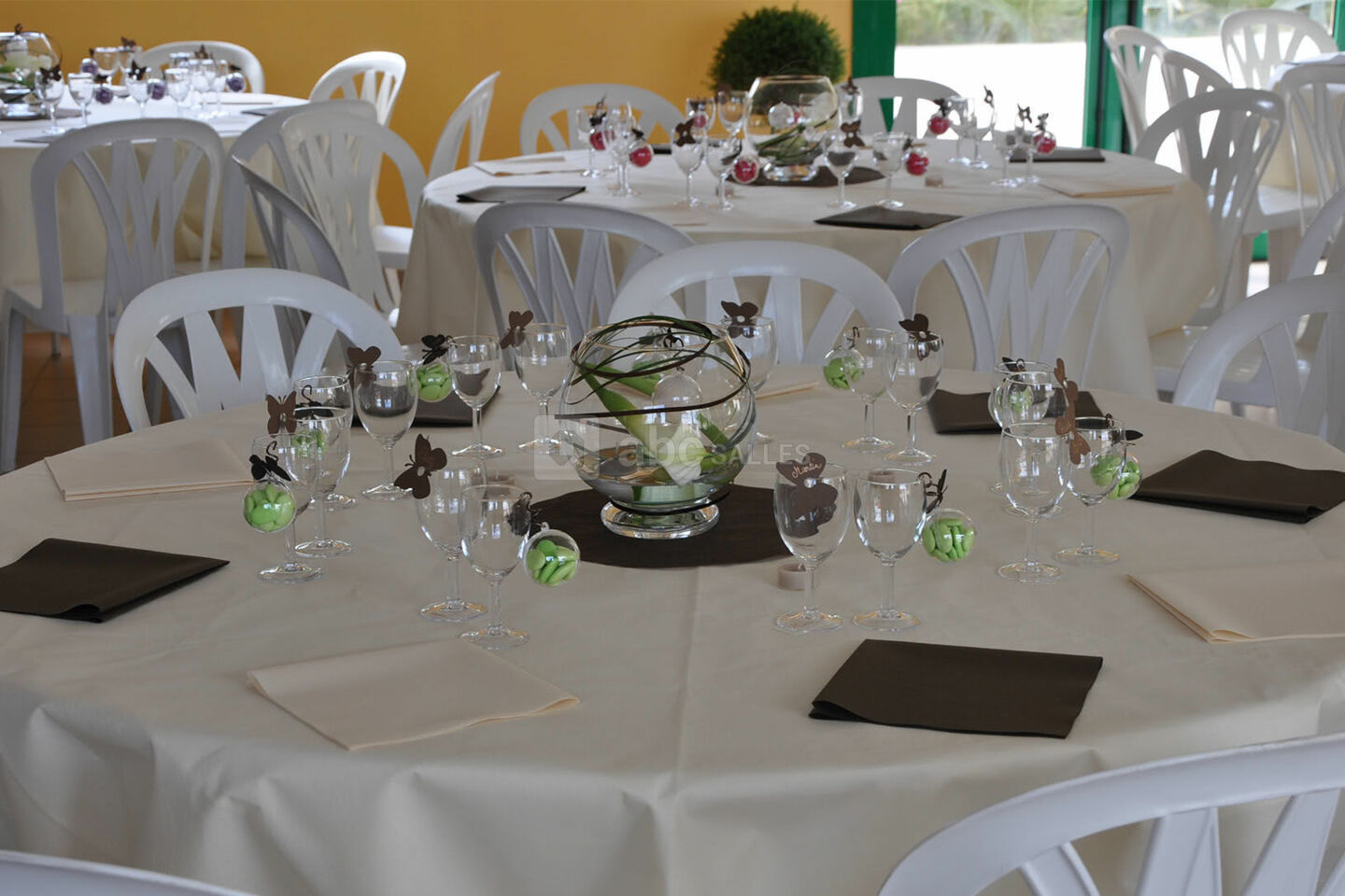 Le Domaine des Pins