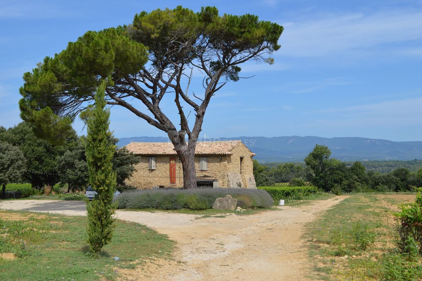 Domaine les Perpetus