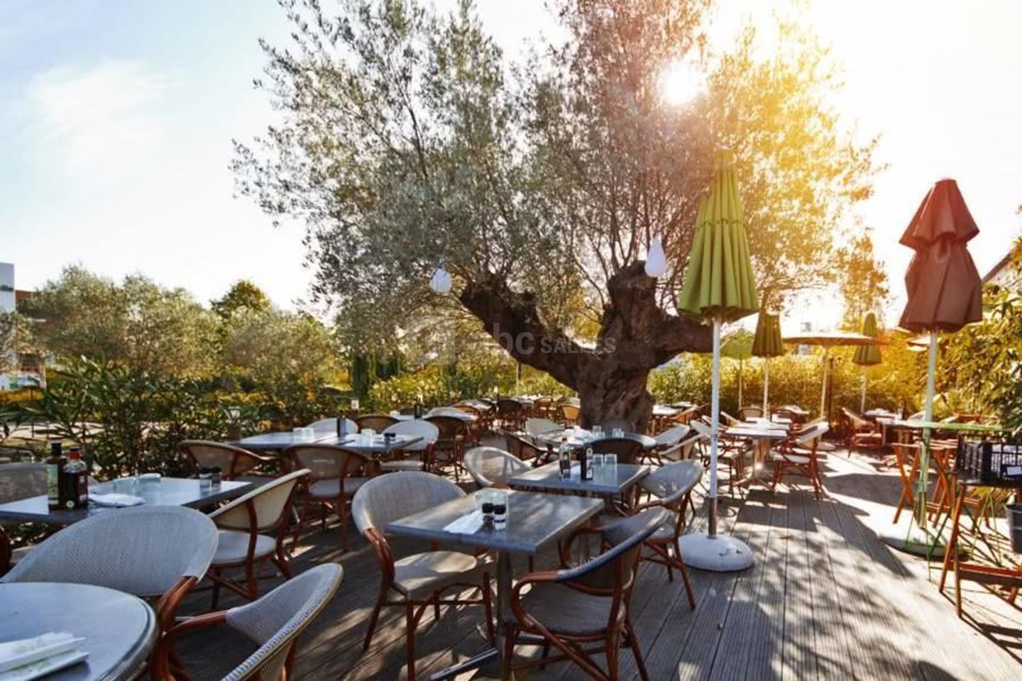 Villa des Oliviers