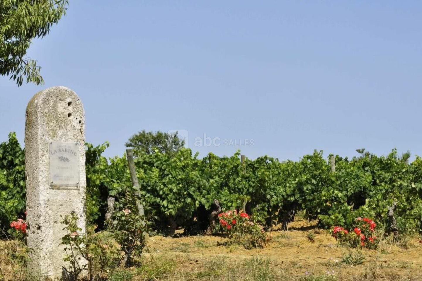 Château la Sabine
