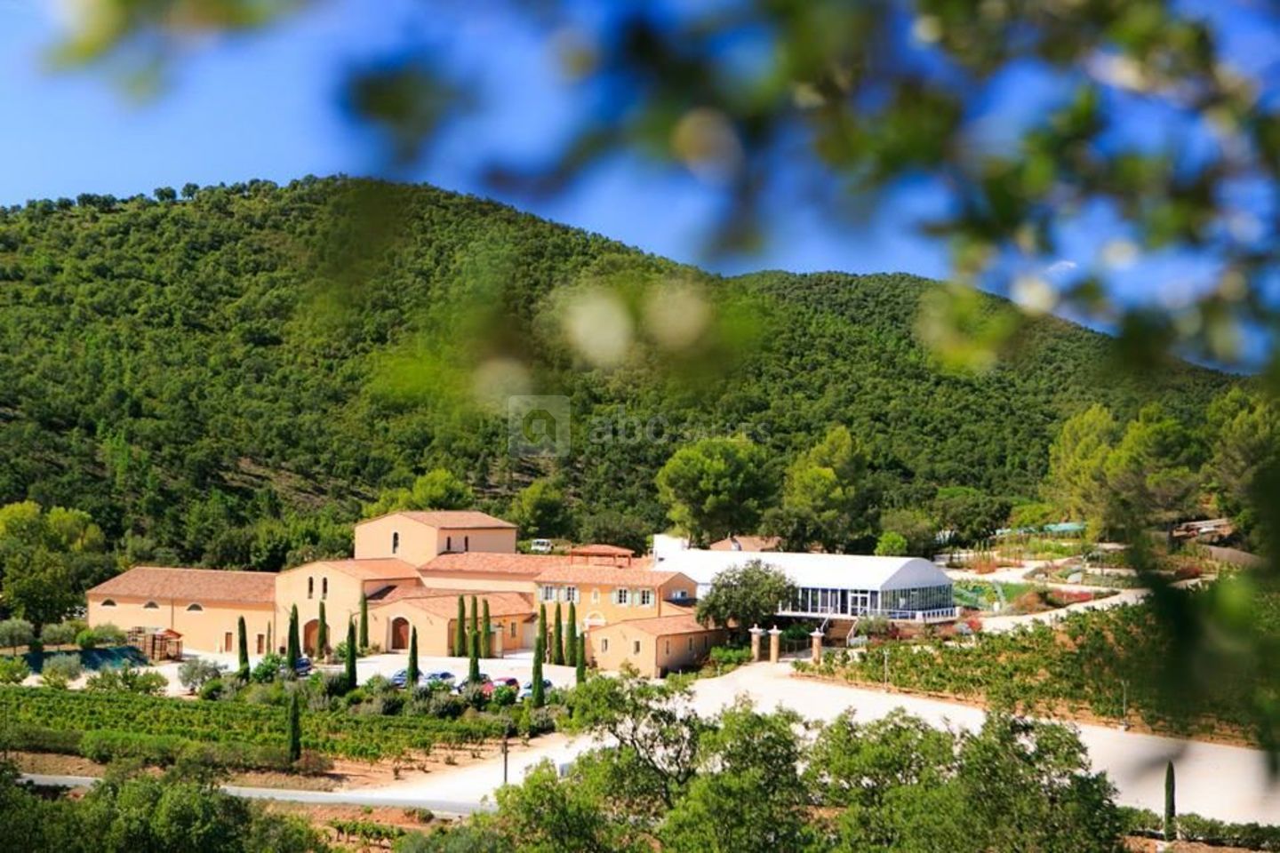 Château Pas du Cerf