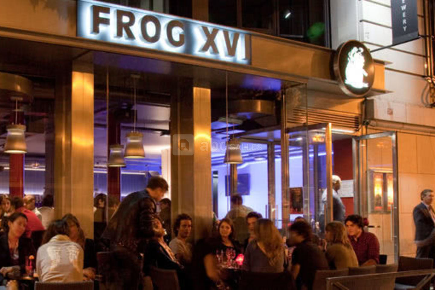 Frog XVI