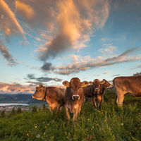 Parkhotel Zug