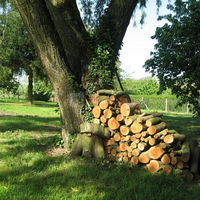 Le parc