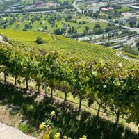 Auberge Aux Trois Tilleuls