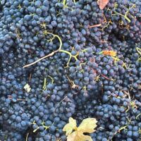 Auberge Aux Trois Tilleuls