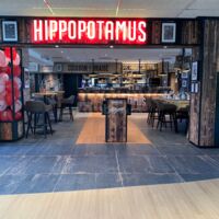 Hippopotamus