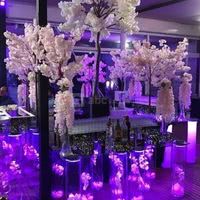 Royal Garden Paris Roissy