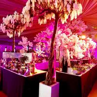 Royal Garden Paris Roissy