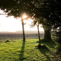 Le Domaine du Chêne