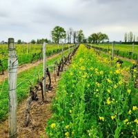Le Domaine du Chêne