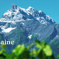 Le Domaine du Chêne