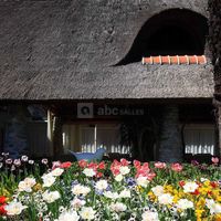 Albergo Losone