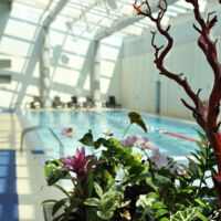 Wellness wellform