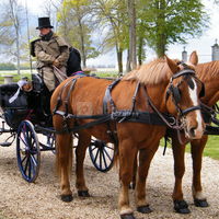 Domaine du Château de la Plumasserie