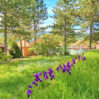 Domaine du Val de Sault