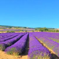 Domaine du Val de Sault