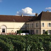 Château de Chassagne-Montrachet