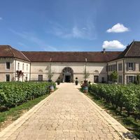 Château de Chassagne-Montrachet