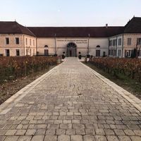 Château de Chassagne-Montrachet
