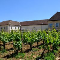 Château au coeur du Vignoble