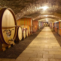 Cave du 14ème siècle