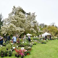 Arboretum de Balaine