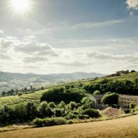 Le Domaine entouré de ses vignes