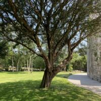 Parc
