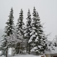 Le Grand Chalet de Gstaad