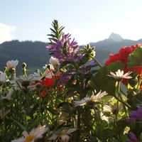 Le Grand Chalet de Gstaad