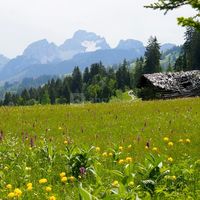 Le Grand Chalet de Gstaad