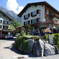 Hôtel Brienzerburli