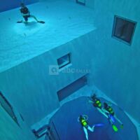 Nemo33