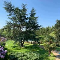 Domaine de la Galimondaine