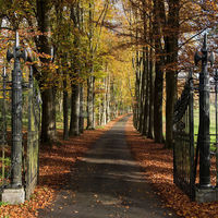 Domaine de Ronchinne