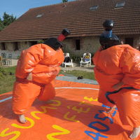 Sumo