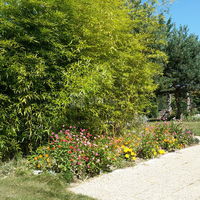 Grand jardin