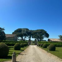 Château Saint Georges