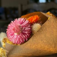 Château Saint Georges