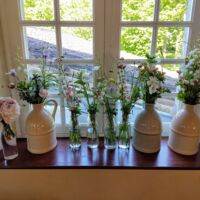 DECORATION FENETRE SALLE MEZZANINE