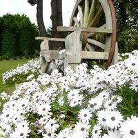Domaine Paysager de Kertanguy