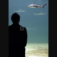 Aquarium le 7eme Continent