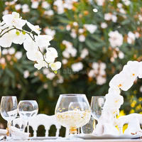 La Villa Provençale