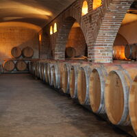 Barriques vue depuis la salle de réception