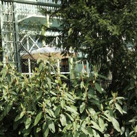 Terrasse du Lac