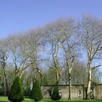 Château de Franquetot